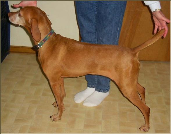 Karma 9 yrs old