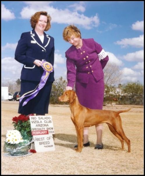 click here for Sarah's pages