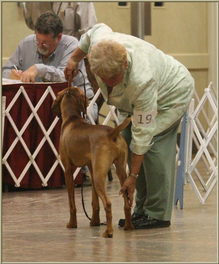 Broker  ~  Handled By:  Patty Crowley