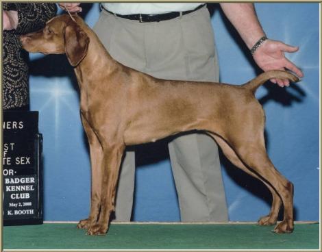 CH Gatehouse's I'm Gonna Getcha  ~  Annabelle