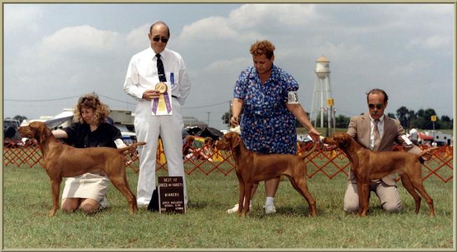 Banker, Cary & Mickey