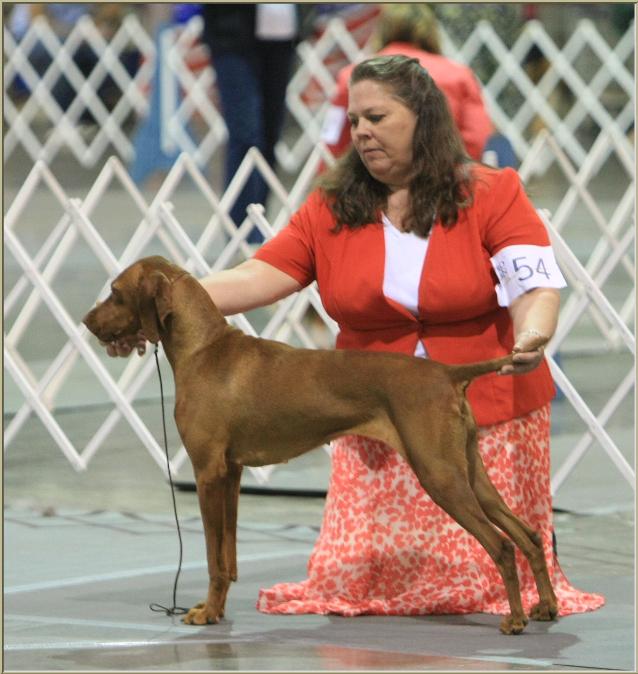 Bella  ~  Handled By:  Nancy Edmunds