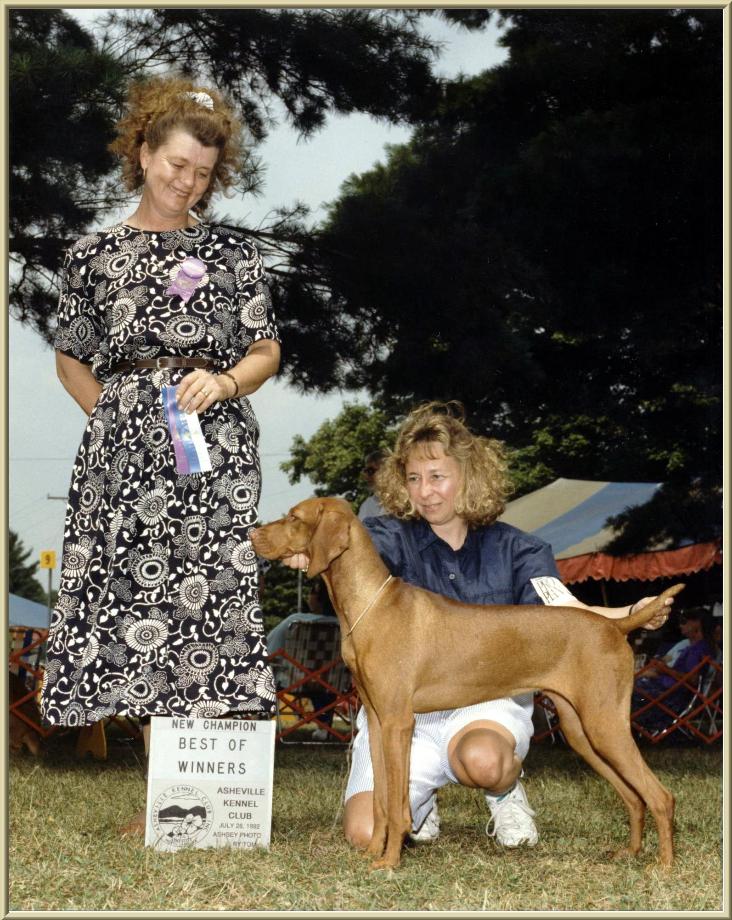 Karat  ~  Handled By Owner:  Paula Murphy