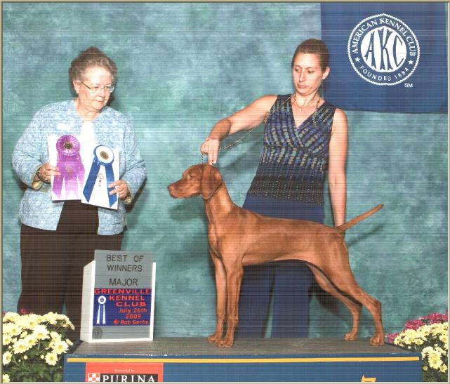 Sandy  ~  Handled By:  Rachael Murphy