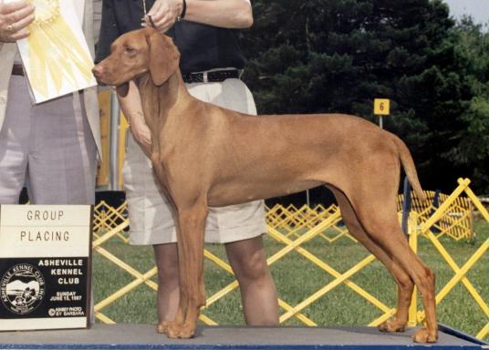 click here for Special