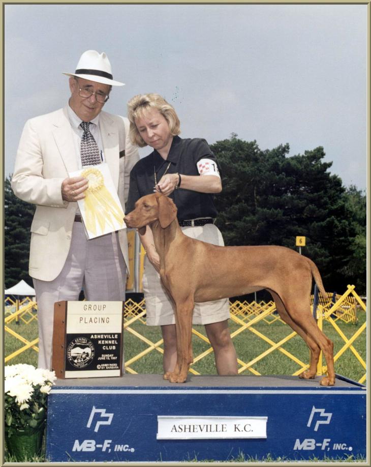 Special ~ Handled By Owner: Paula Murphy