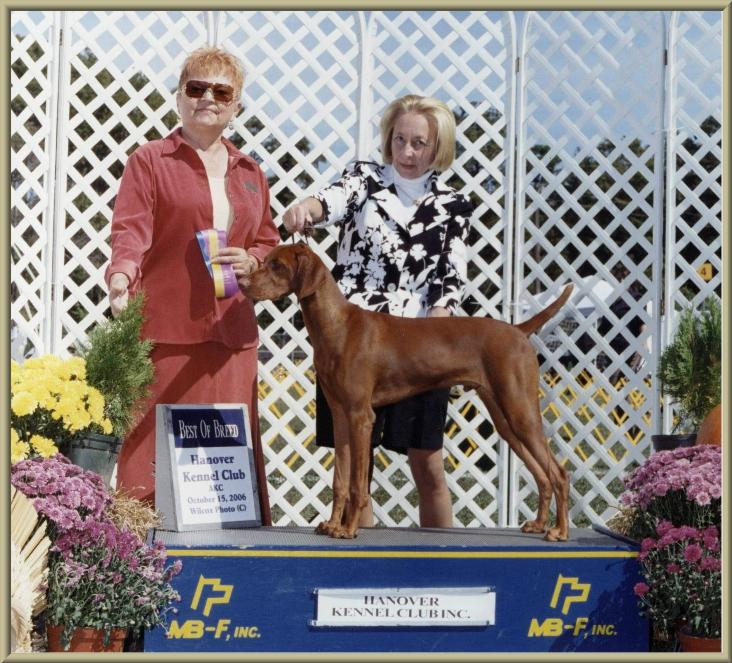 Wilson  ~  Handled By Owner:  Paula Murphy